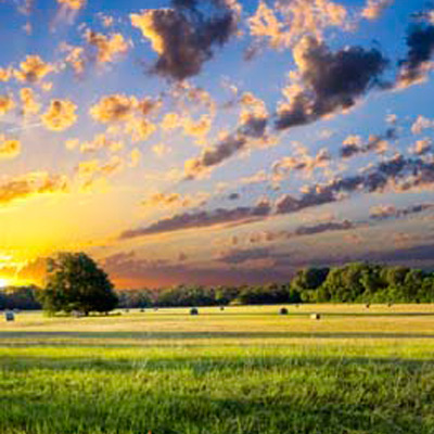 Texas Pre-Licensing:180-Hr. TX Sales Pre-Licensing Value Package