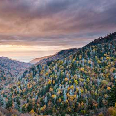 Tennessee Post-Licensing:120-Hr. TN Broker Post-Licensing Package Plus Professional Development